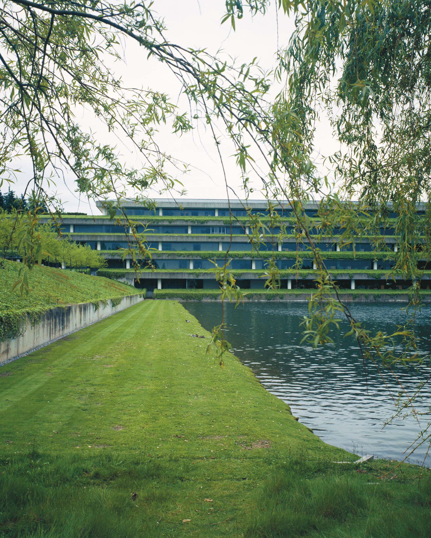 Completed in 1971, the SOM-designed Weyerhaeuser Headquarters is considered a milestone of architecture integrated with the natural environment.