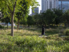 Woman looks up at skyscrapers from inside Jinan Ribbon Park