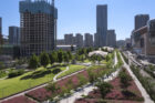 Aerial view of purple flowers and pavilions in Jinan RIbbon Park