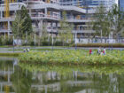 People visit the lotus pond in Jinan Ribbon Park.