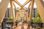 High Line - Moynihan Connector Timber Bridge