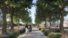 Roper Hospital Campus