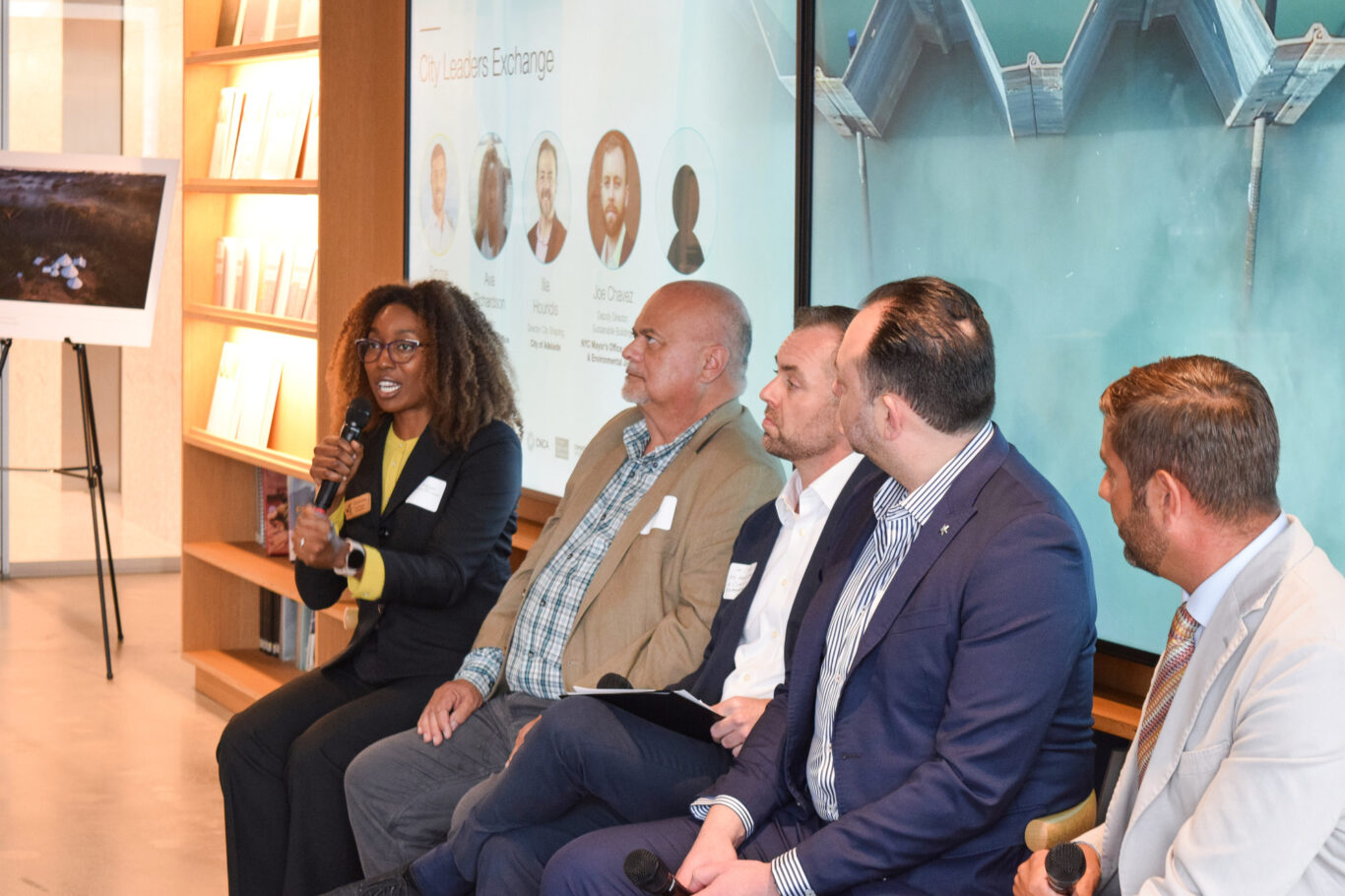 Slide 5 of 7, Carbon Sink Cities