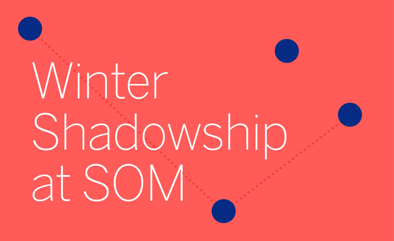 Slide 1 of 5, Shadowship