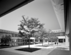 A courtyard inside a suburban office park